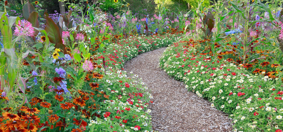 When we follow the path of the  body’s wisdom,